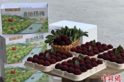 摇卦免费高速赋能产业升级：一条“杨梅路”的致富密码