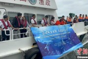 摇卦免费浙江今年计划放流种类海洋水生生物苗种超15亿单位