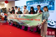 摇卦免费中国彩绘熊猫艺术国际巡展东京站开幕