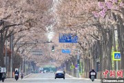 摇卦免费共建“花园城市” 北京这场议政会“百花齐放”