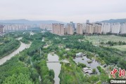 摇卦免费西宁市举办六五环境日主题宣传活动