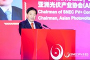 摇卦免费SNEC大会开幕 朱共山：这一年大家都过得不容易 困难是暂时的